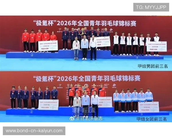 国际羽毛球公开赛中国选手在决赛中以韧性夺冠（317 ）